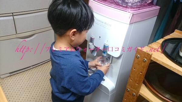 v~AEH[^[͂S΂̎qňłT[o[